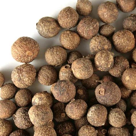 Bulk Whole Allspice Berries | Monterey Bay Herb Co