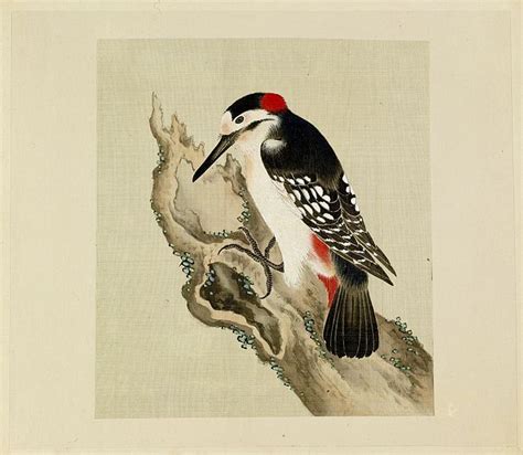 Traditional Japanese Art, Small Birds, Art Museum, Rooster, Walters, Animals, Painting, Result ...