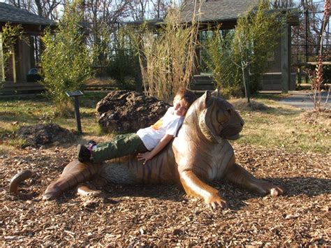 My son during an autumn visit to the Springfield, MO zoo. | Smithsonian Photo Contest ...