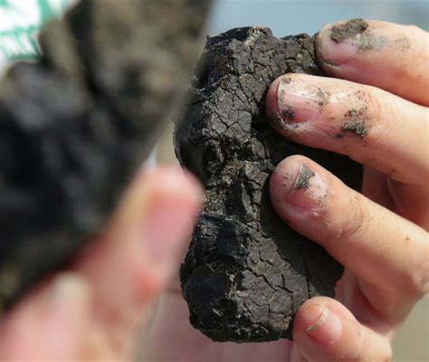 Why oily 'tar balls' are washing up on Texas beaches