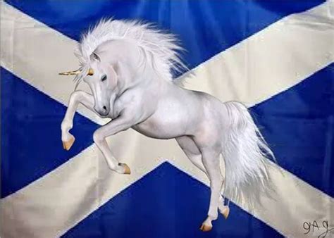 POB on Twitter | Scotland unicorn, Scotlands national animal, Scotland history