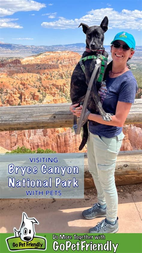 Visiting Bryce Canyon National Park With Pets | GoPetFriendly