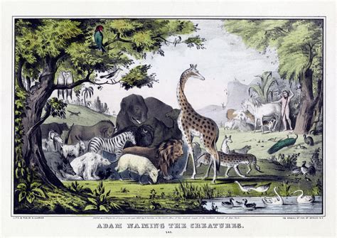 Vintage Animal Poster Free Stock Photo - Public Domain Pictures