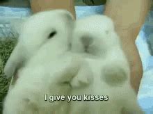 Cute Kisses GIF - Cute Kisses Bunnies - Discover & Share GIFs