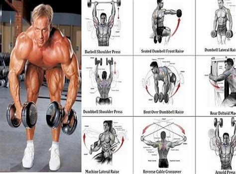 12 Best Dumbbell Exercises For Shoulders ~ www.bodybuilding110.com