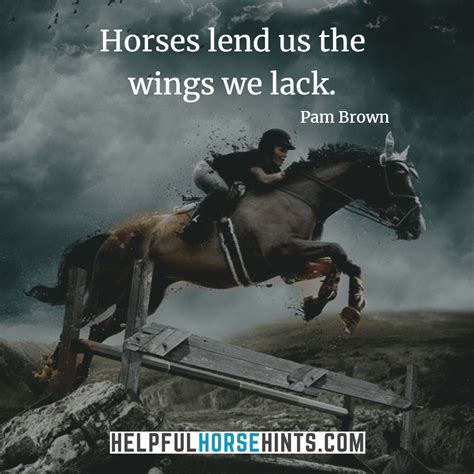 45+ Horseback Riding Quotes That Will Inspire You (w/ Shareable ...