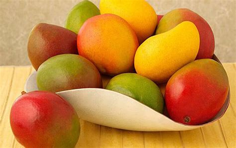 Jalisco Looking to Produce Mango Varieties for Export - Casa Bay Villas