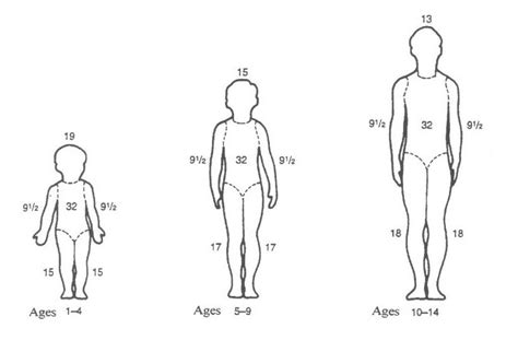 Determining Total Body Surface Area - MN Dept. of Health