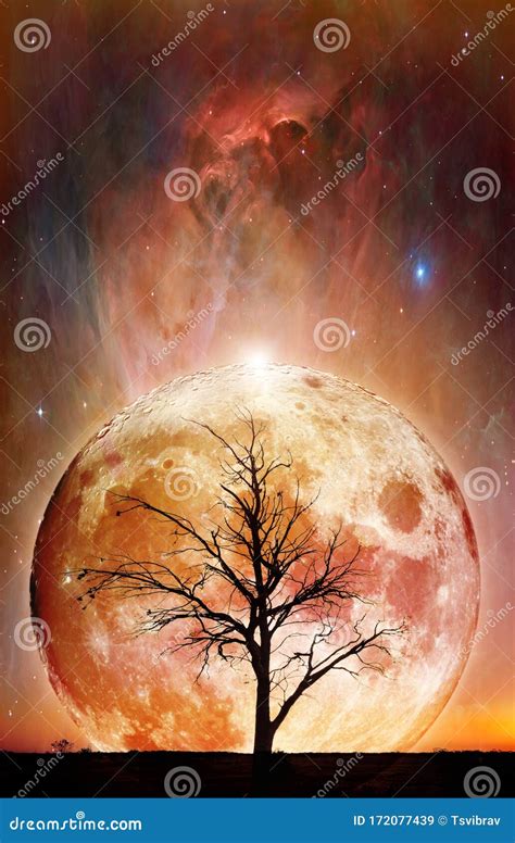 Fantasy Landscape - Lonely Bare Tree Silhouette with Huge Planet Rising ...