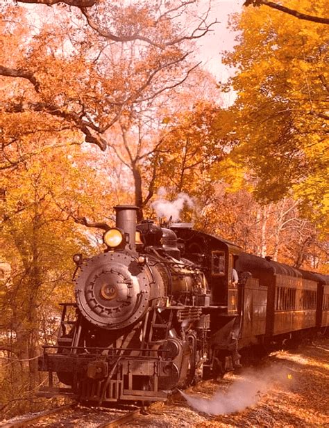 Fall Foliage Excursion - New Hope Railroad % % | Excursions, Fall foliage, Train rides