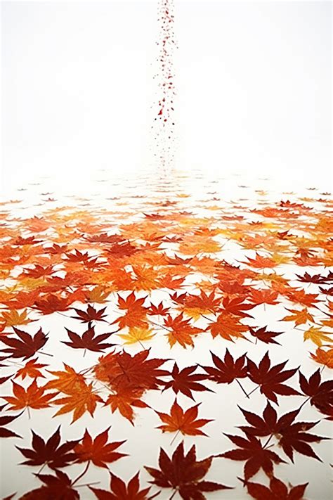 Fall Leaves Background Wallpaper Image For Free Download - Pngtree