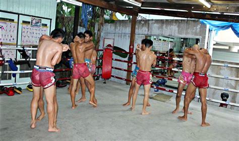 Getting the best course of Muay Thai training and boxing in Thailand – Edutwitt.com