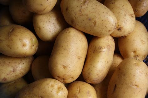 How Long To Boil Potatoes for Mashed Potatoes? | Iupilon