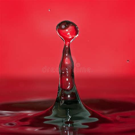 Macro shot of water drops. stock photo. Image of circle - 143010854