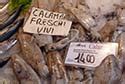 Rialto Food Markets | Venice for Visitors