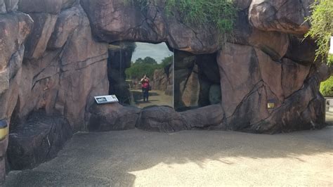 Outdoor African reptile exhibits - ZooChat