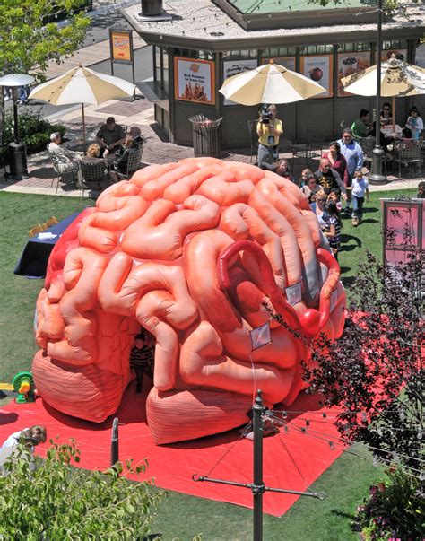 Inflatable Brain Exhibit for Healthcare Events | The MEGA Brain