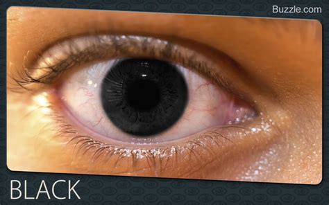 Fascinating Facts About Rare Eye Colors | Rare eyes, Rare eye colors, Brown eyes facts