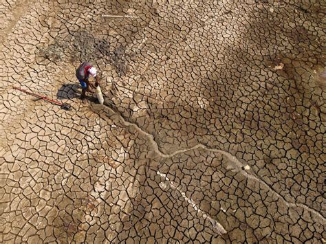 Amazon Rainforest Drought: Environmental and Economic Implications in ...