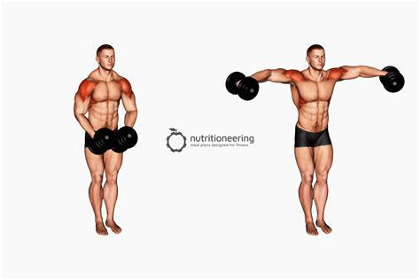 Anterior Deltoid Muscle Exercises