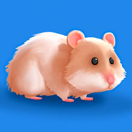 Hamster Stack Maze Game - Play on Lagged.com