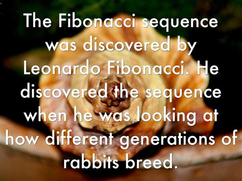 The Fibonacci Sequence by Gabrielle Stoddard