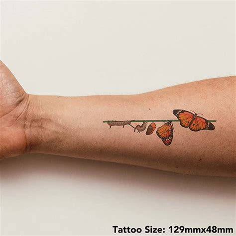 Discover more than 51 butterfly metamorphosis tattoo latest - in.cdgdbentre