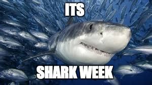 Image tagged in shark week,sharks - Imgflip