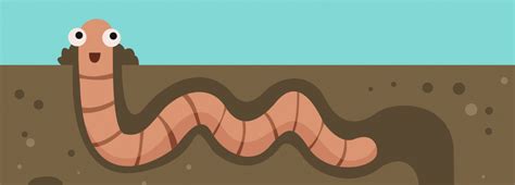 Biology: All About Earthworms: Level 1 activity for kids | PrimaryLeap.co.uk