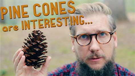 I never knew this about PINE CONES... - YouTube