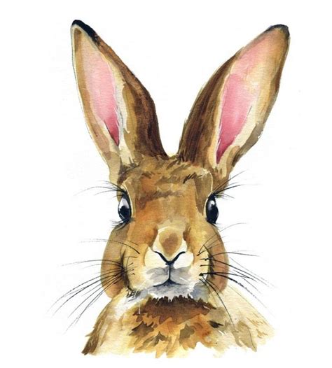 Pin by Rhonda Bol on Easter | Bunny watercolor, Rabbit painting, Bunny art