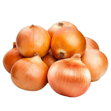 Buy Yellow Onion 1 Lbs | Fresh Farms - Quicklly