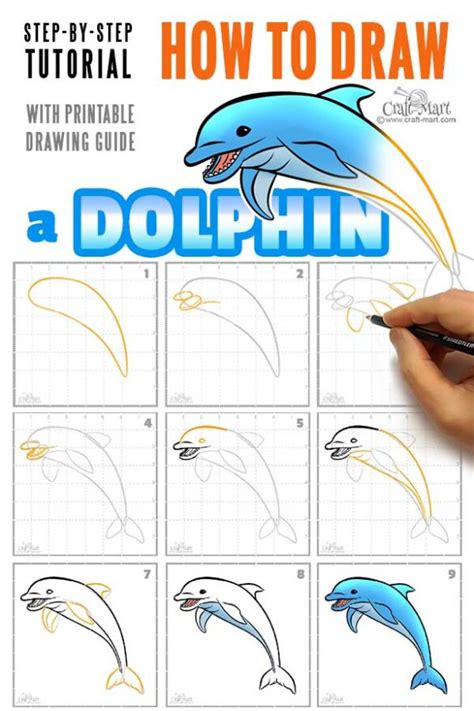 Drawing a dolphin step-by-step tutorial - Craft-Mart