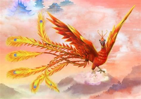 Vermillion Bird | Martial World Wikia | Fandom