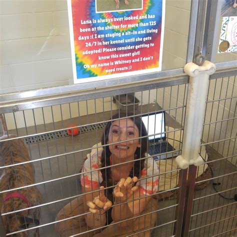 Shelter Worker Vows To Live With Abandoned Dog In Her Kennel Until She Finds A Forever Home ...