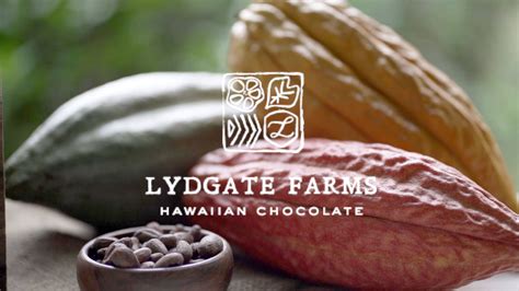 Lydgate Farms Chocolate Tour | Chocolate tour, Chocolate tree, Chocolate