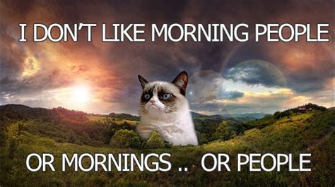 Funny Good Morning Grumpy Cat Pictures With Captions - Good Morning ...