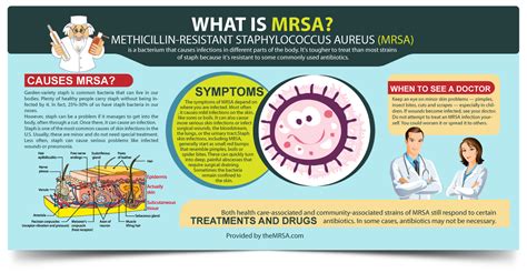 Infographic: What is MRSA? Understand the basics... | MRSA Infection