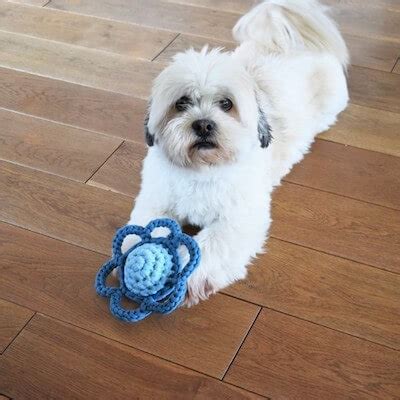 10 Crochet Dog Toys Patterns - Crochet News