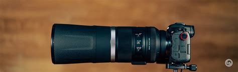 Canon RF 800mm F11 IS STM Review - DustinAbbott.net