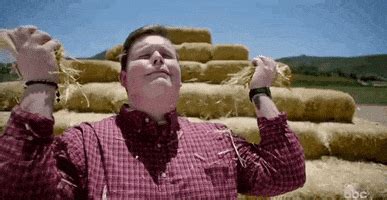 Hay Bales GIFs - Find & Share on GIPHY