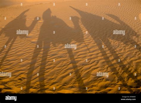 Camel shadow desert hi-res stock photography and images - Alamy