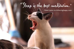 Quotes About Sleeping Cats. QuotesGram