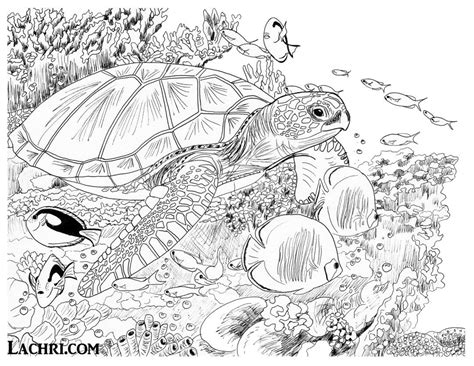 Color this sea turtle underwater scene yourself in my free adult ...