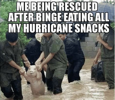 40 HURRICANE MEMES