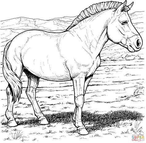 Free Free Printable Realistic Horse Coloring Pages, Download Free Free Printable Realistic Horse ...