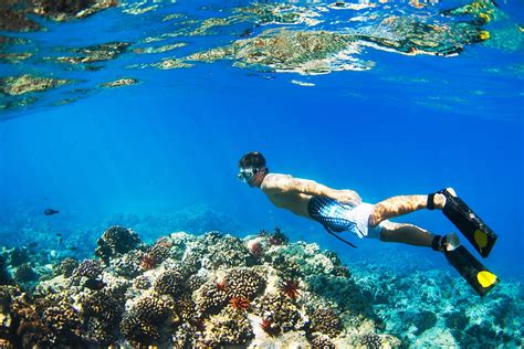 1 Day Private Trip Sail on Board with Snorkeling Komodo Labuan Bajo