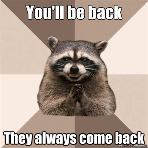 You'll be back They always come back - DLI real Scheming raccoons ...