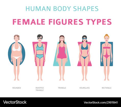 Human body shapes female figures types set Vector Image