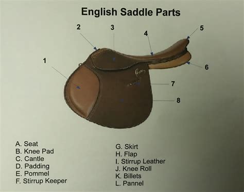 More English saddle parts Diagram | Quizlet